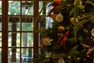 La Casa del Presidente | Ávila | ¡VEN A VIVIR UNA NAVIDAD DIFERENTE CON NOSOTROS! | 1